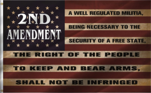 A well regulated Militia, being necessary to the security of a free State, the right of the people to keep and bear Arms, shall not be infringed.